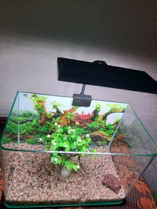 Asssalomalekum akvaryum sotiladi yengi