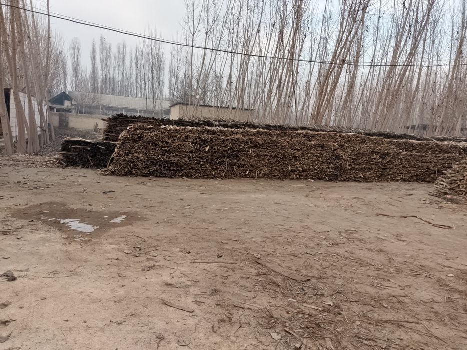 +Даставка факат водийга. Тандирга Отин бор.otin bor