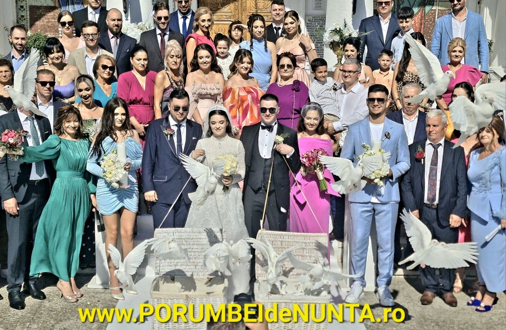 Porumbei albi Nunta Constanta