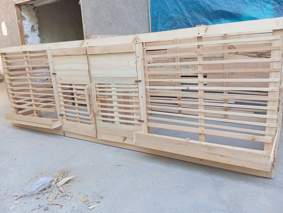 Katak sotiladi narxi 700 ming