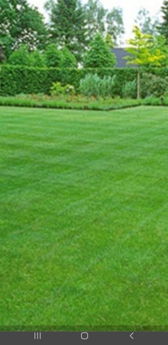 Gazon rulou si montaj