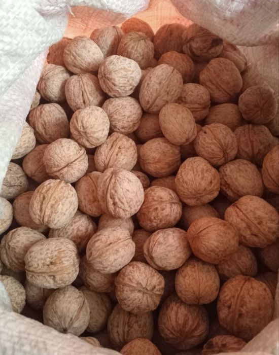 Продаю грецкие орехи свежие