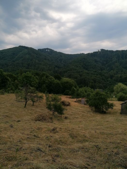 De vanzare teren intravilan 4500 mp,cu casa veche in Sovata