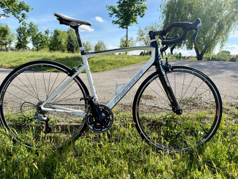 Cursiera Merida Ride 95