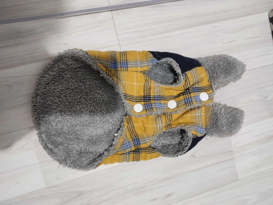 Hainuta cățel talie mica