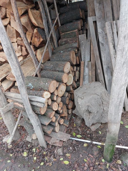 Lemn de foc de esență tare