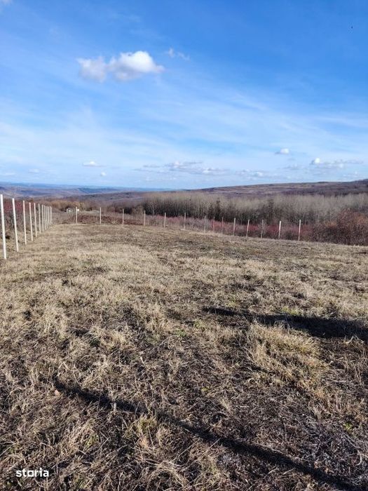 Teren intravilan, cu potential mare