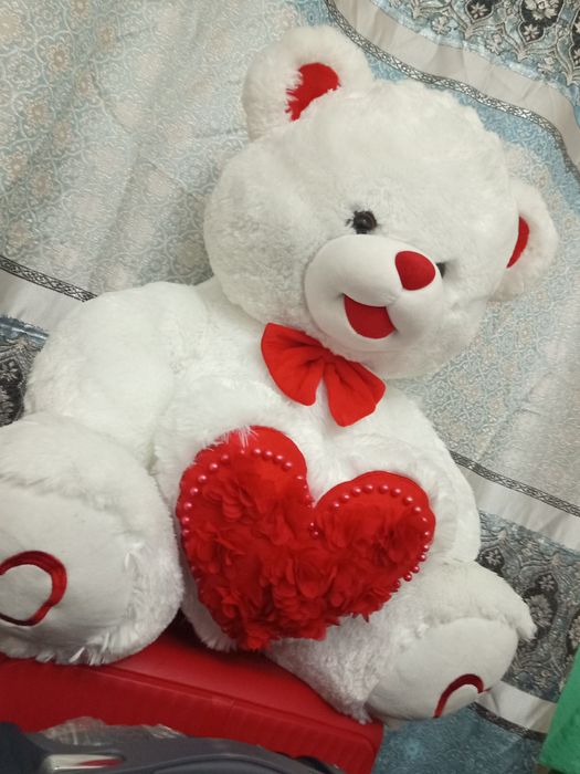 Ayiqcha sotiladi yangi