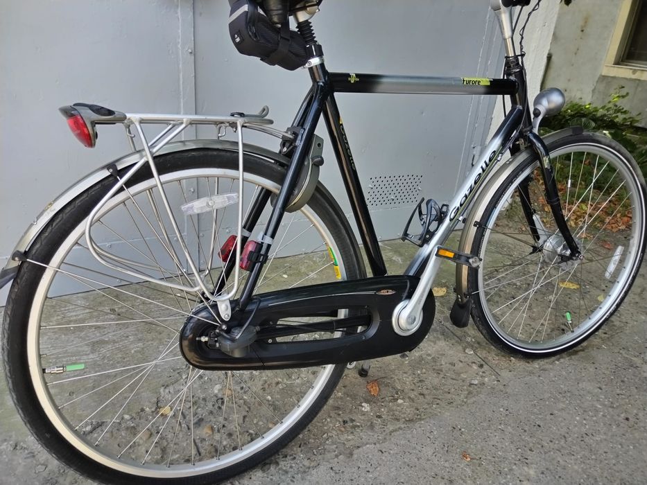 Bicicleta gazele adulți
