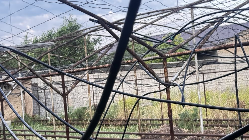 Tiplitsa temir turubas  sotiladi