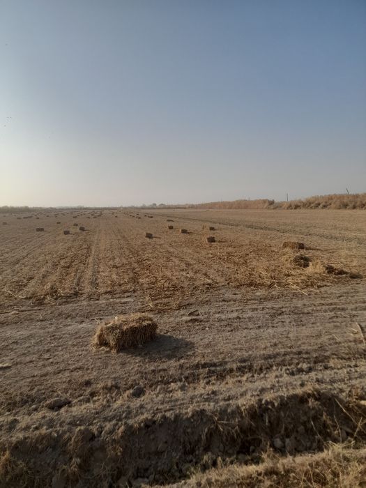 Макка прес сотилади