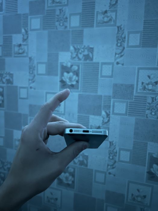 Обменяю или продам iPhone 5s