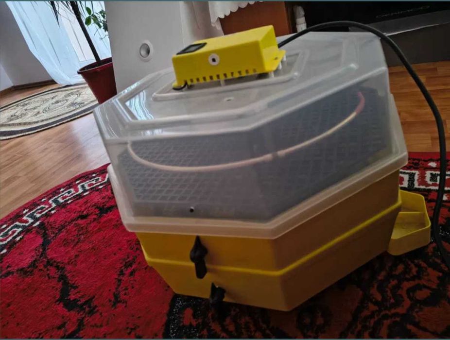 Incubator Cleo 5ETGPHC