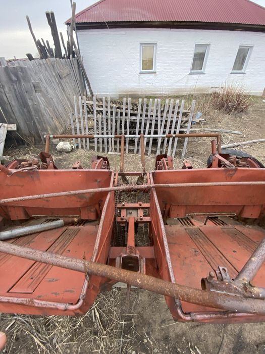 Продам картошку сажалку