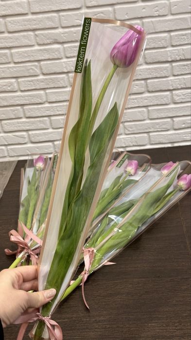 Тюльпаны розница/опт