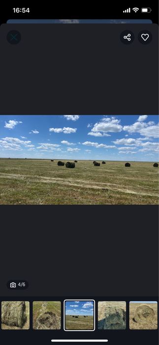 Сено,луговое разнотравье