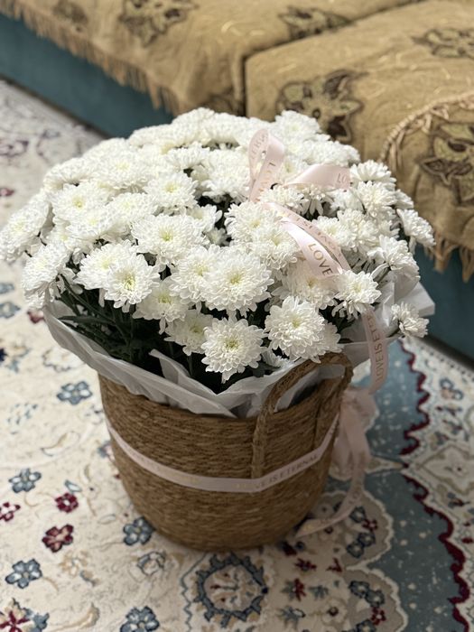 Тірі гүл шоқтары - кез келген мерекеге