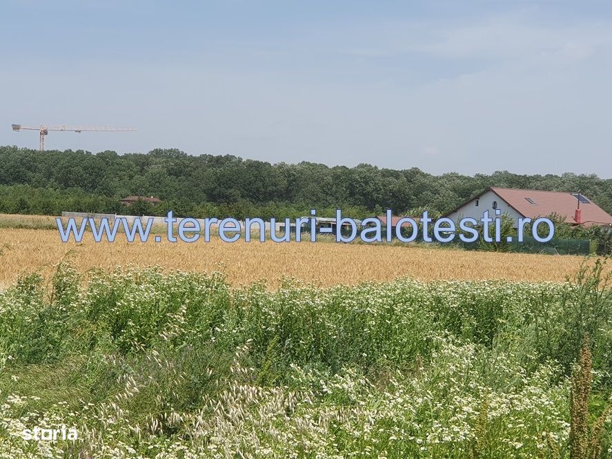 Teren Balotesti, vecinatate padure Sri,19500 euro