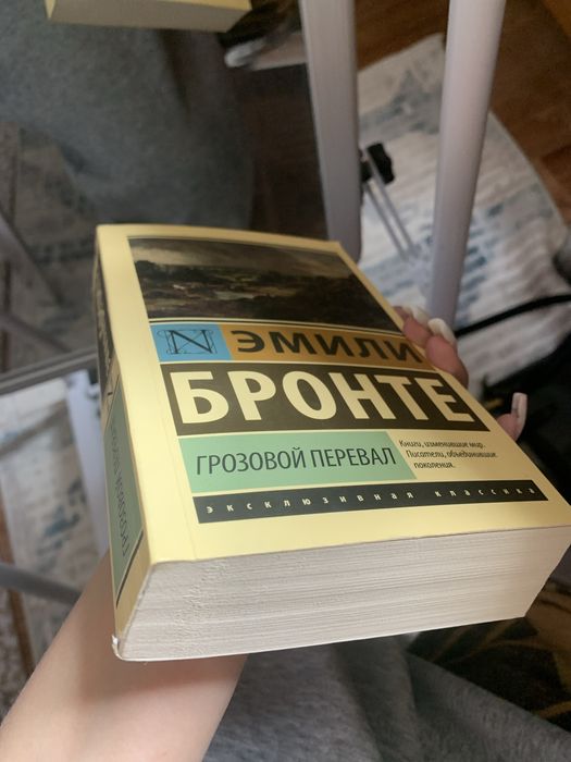 книга эмили бронте