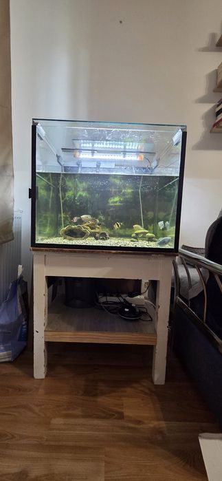 Acvariu 180 L complet echipat
