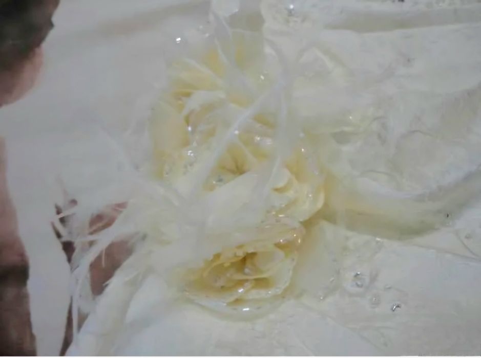 Vand rochie mireasa Pronovias+bonus pantofiori mireasa stare impecabil