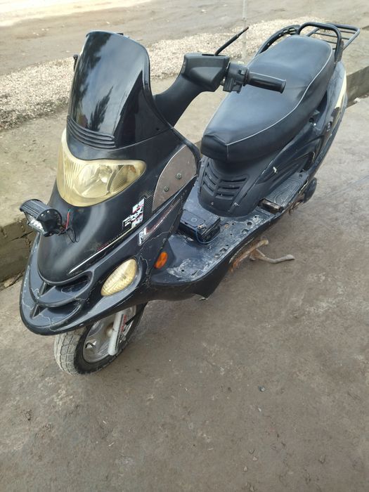 Irbis skuter sotiladi