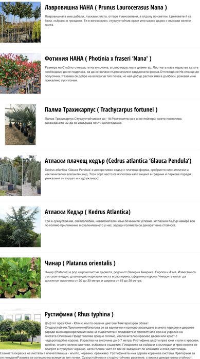 Разсадник Монтана : дървета дръвчета овошки фиданки за озеленяване