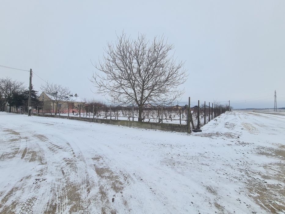 Vând Teren Intravilan Pecineaga