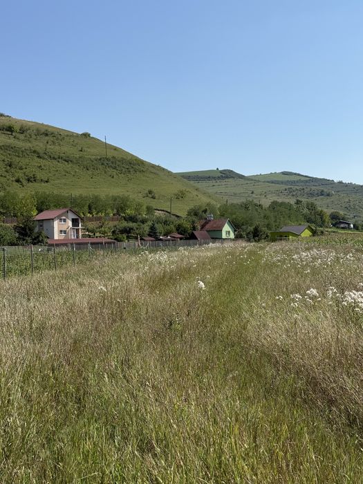 Teren pentru cabana Caianu