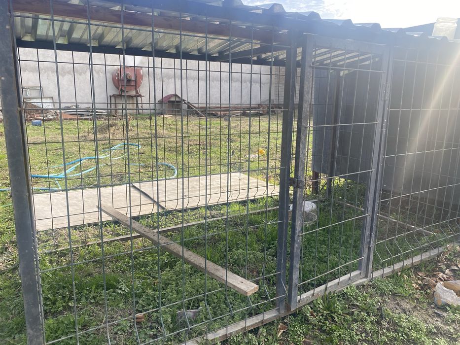 In sotiladi haloti yaxshi