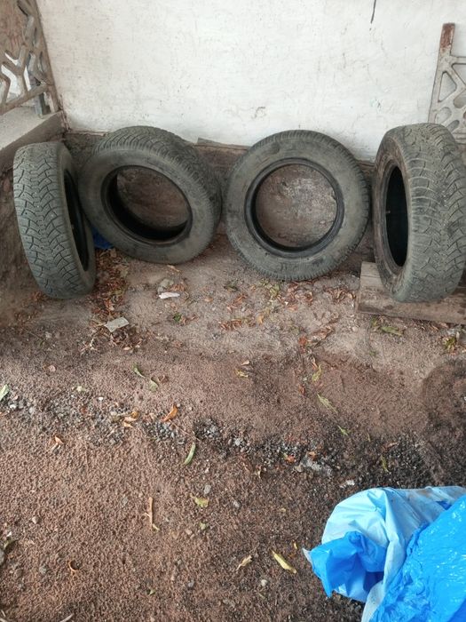 Пакричка! Сатамын.