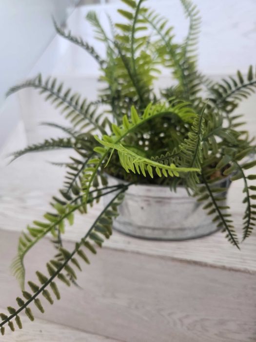 plante artificiale