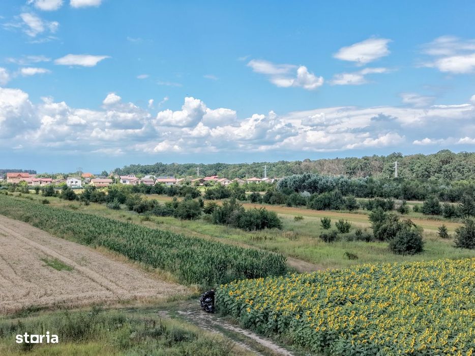 Teren Gulia Tartasesti, padurea Raioasa, investitie premium