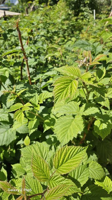 Продам коттедж жилгородок