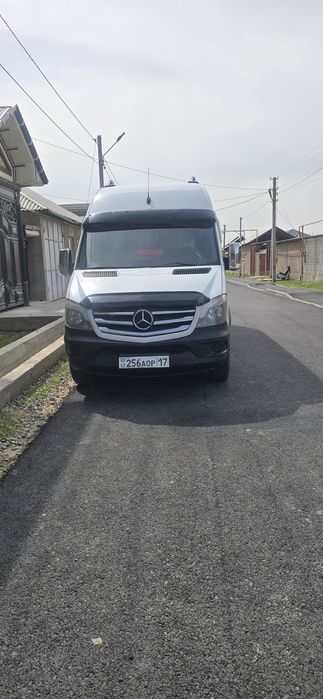 Перевозка пассажиров