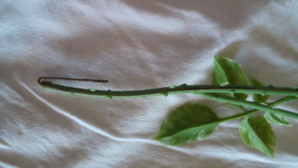 Изкуствена роза пластмасова винтидж