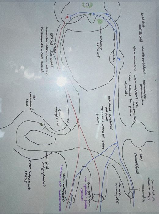 Admitere medicina notite
