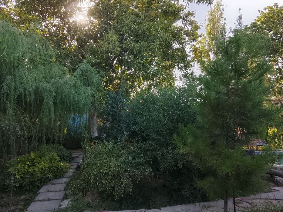 Продаётся дача на на Пскентском районе