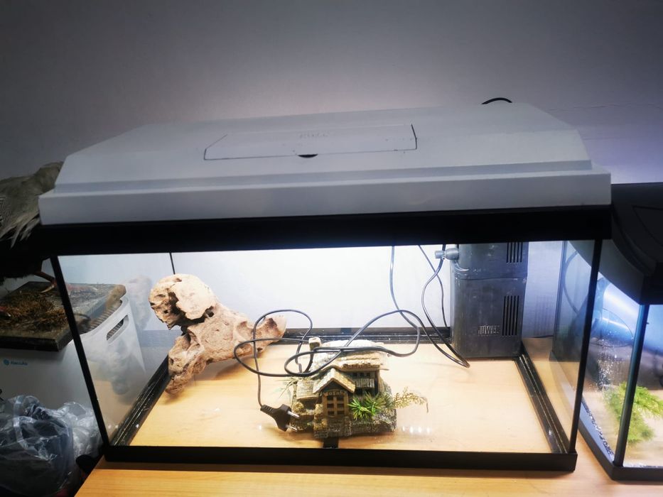 Vând acvariu Juwel Primo60 și Tetra complet echipate