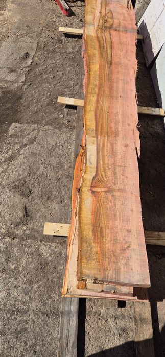 Янове от секвоя 3.30дължина СУХИ