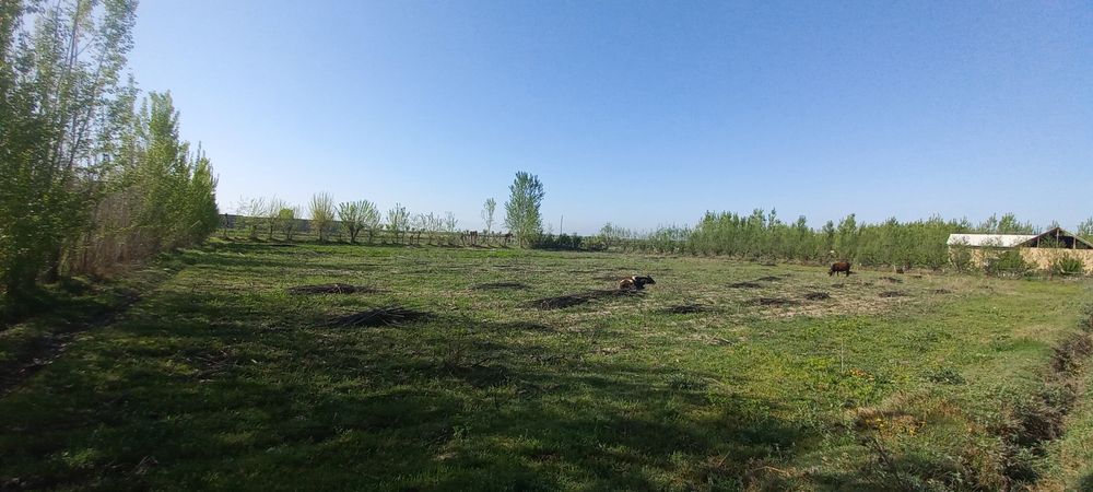 Srochni yer sotiladi