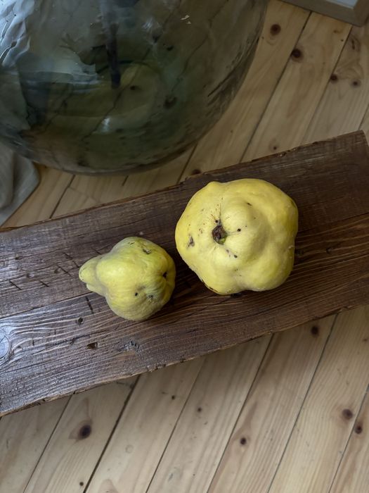 Декоративна пейка