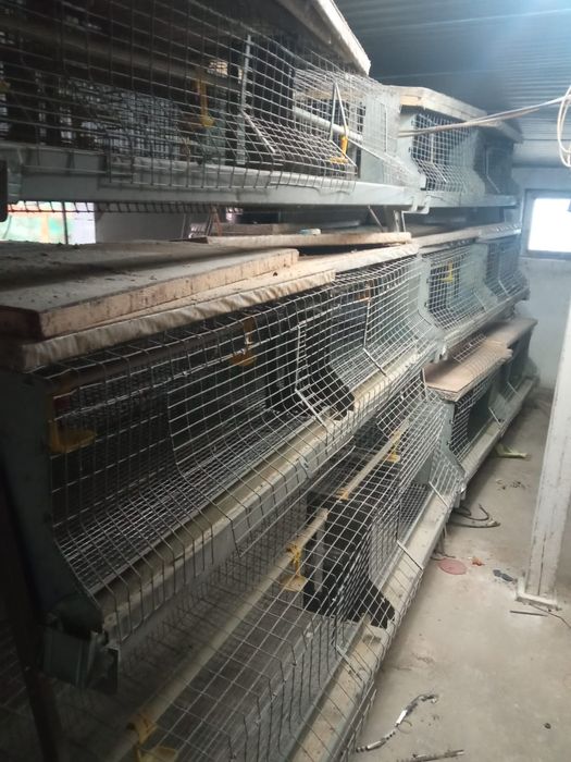 Клетка для птицы