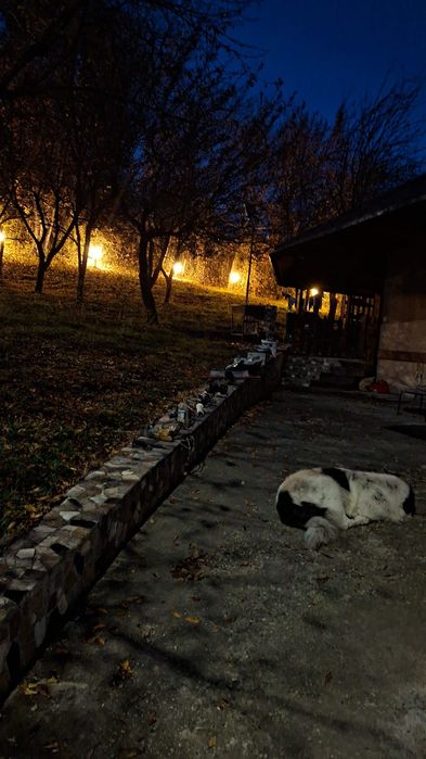 Proprietar vând vila Câmpulung Muscel str Dracesti 34 colt  str Plaies