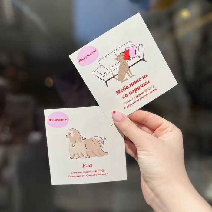 Тренировъчни карти за куче