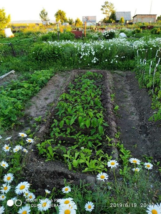 Продам дачу экологически чистый