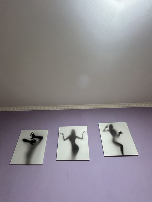 Картины все общее 6500 на стену