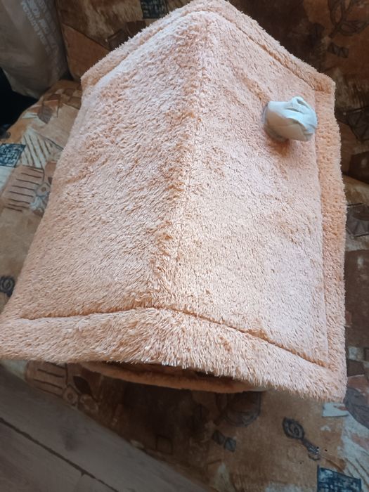 Къща за кучета и котки