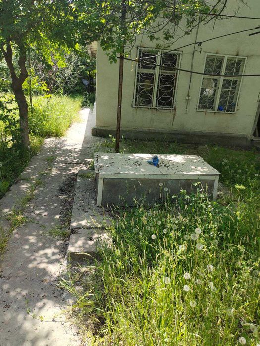 Дача.на таш море.