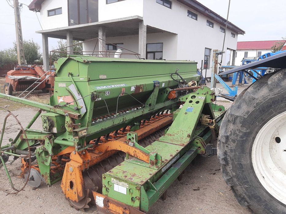 Semanatoare Amazone Paioase 4 m